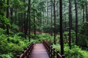 영주 마실치유숲, 산림청 주관 ‘명품숲’ 선정