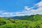 소백산국립공원 여름 야생화 개화 소식
