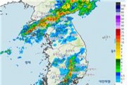 경상북도 집중호우 및 태풍“장미”대처상황