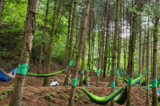 2023 산림복지프로그램 효과검증 연구보고서 발간
