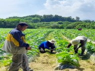영주시, 외국인 계절근로자 사업 참여 농가 모집