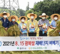 경북 영주서 올 첫 벼베기…‘8‧15 광복쌀’ 수확